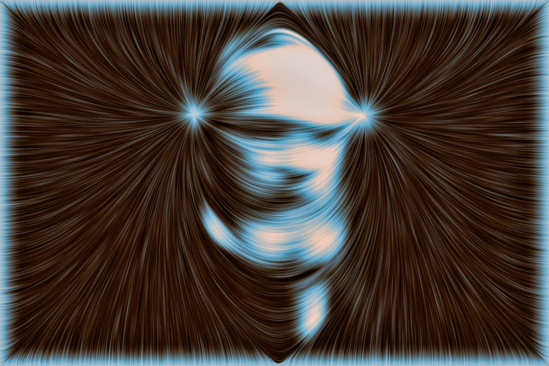 William James — a portrait formed by pale blue and peach field lines against brown